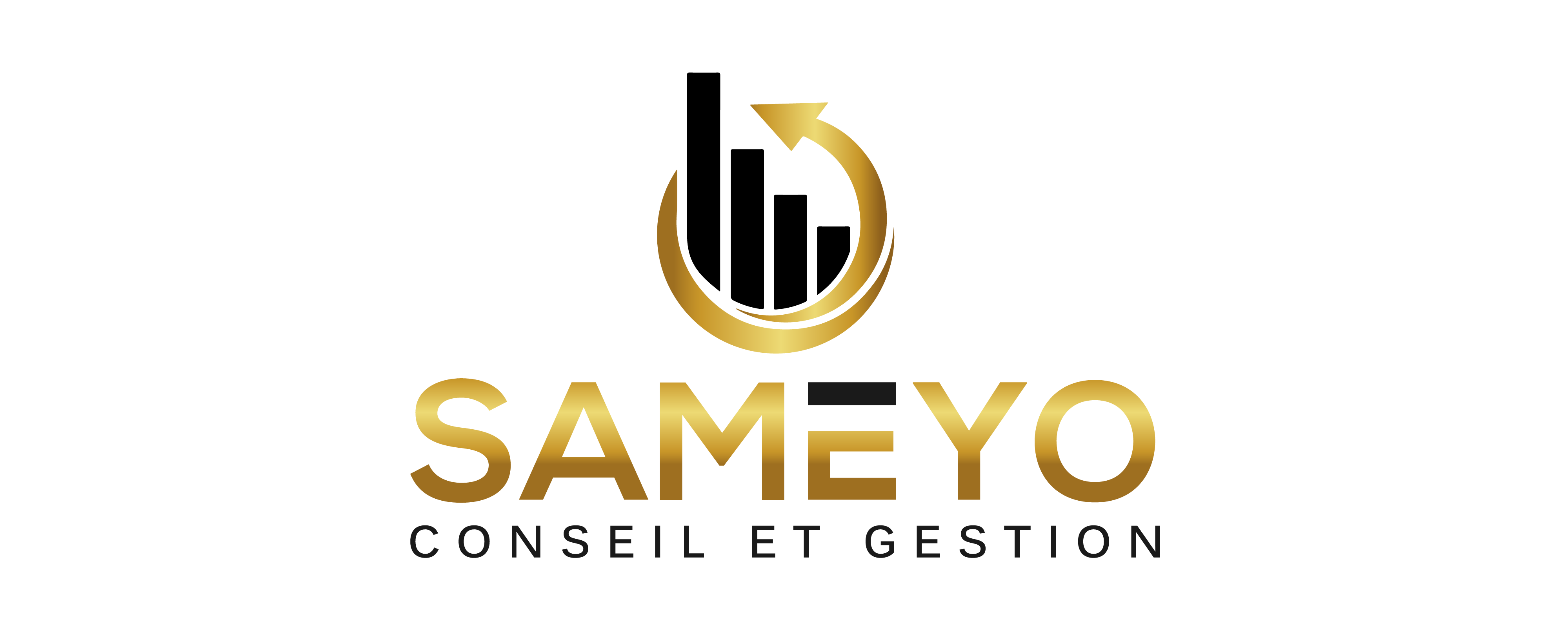Sameyo Conseil et Gestion